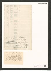 Diatomeae indet. Zeichnungen Sammlung Grunow (NHMW-BOT-W0374249)